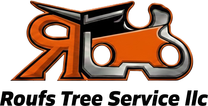 Professional Tree Service in Siren, WI
