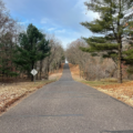 How to Choose and Plant the Right Tree in Northwestern Wisconsin