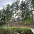 When Is the Best Time to Trim Trees in Wisconsin?